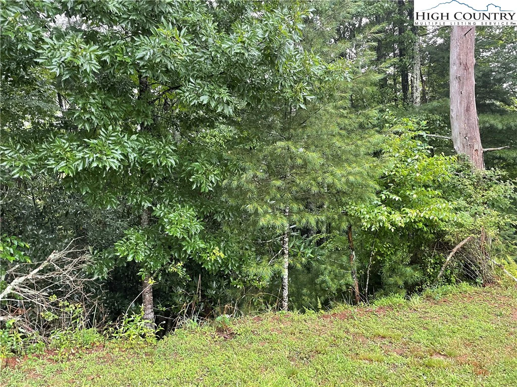 Image number 6 for the current listing