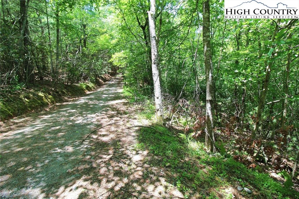 Image number 1 for the current listing