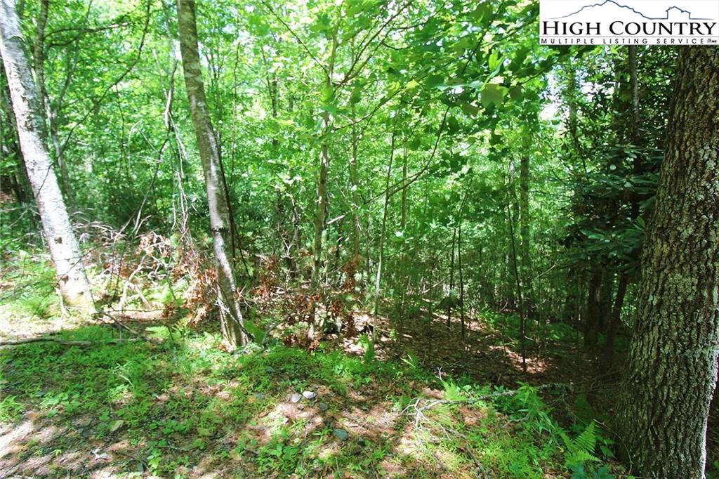 Image number 5 for the current listing