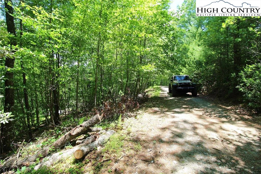 Image number 6 for the current listing