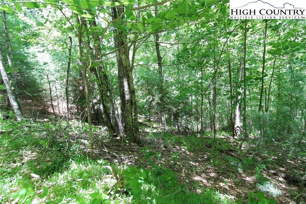 Image number 7 for the current listing