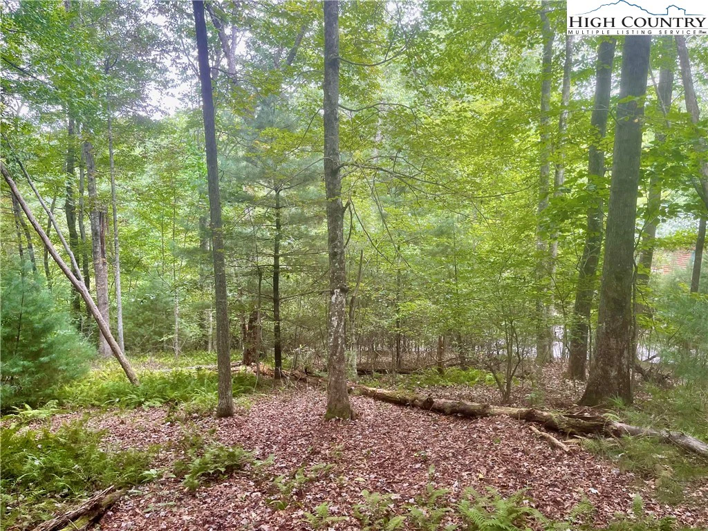 Image number 1 for the current listing