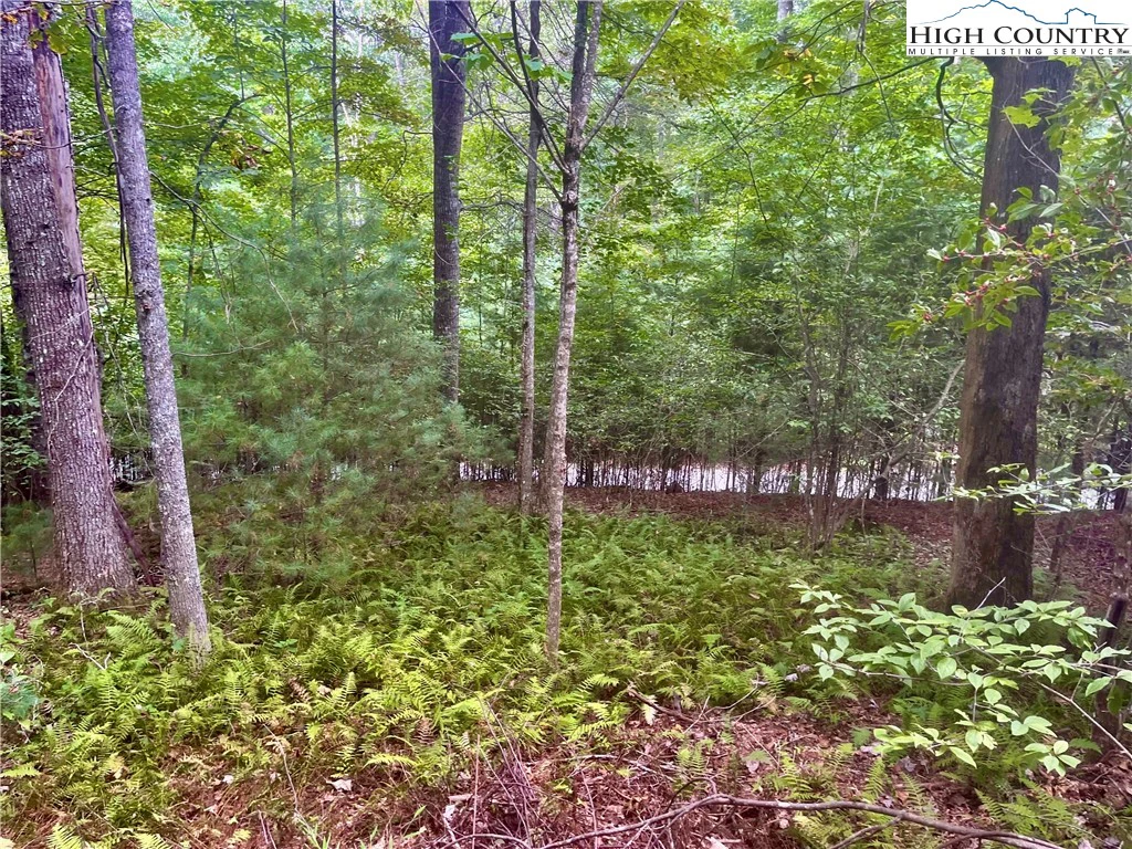 Image number 7 for the current listing
