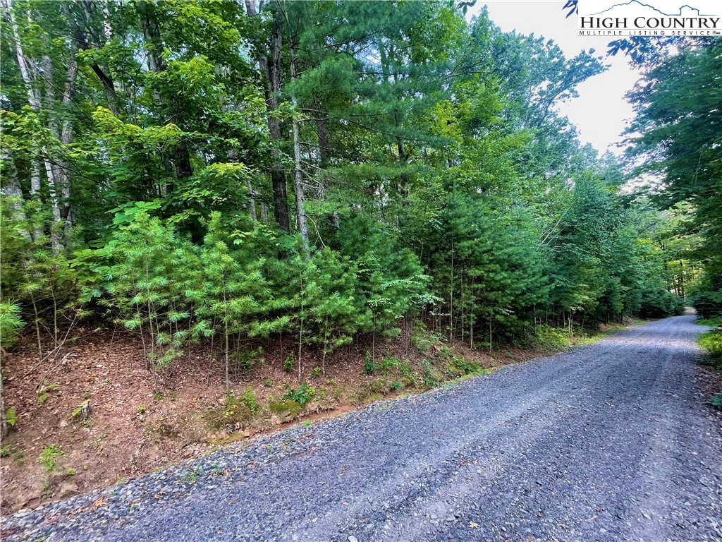 Image number 11 for the current listing