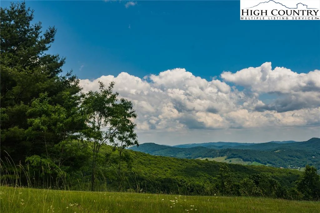 Image number 1 for the current listing