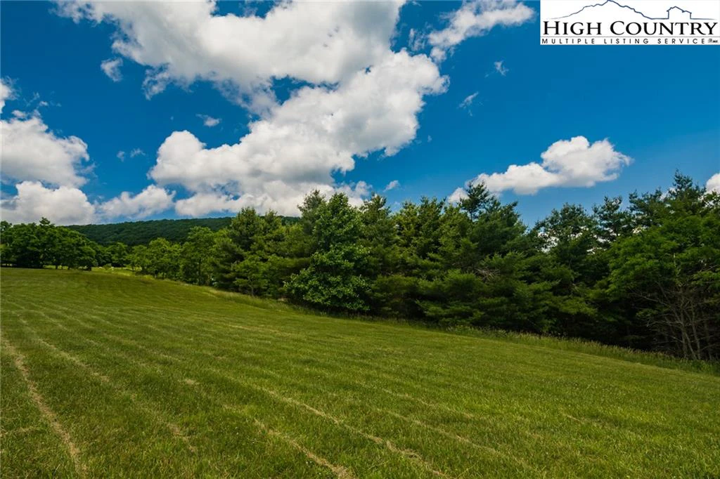 Image number 5 for the current listing
