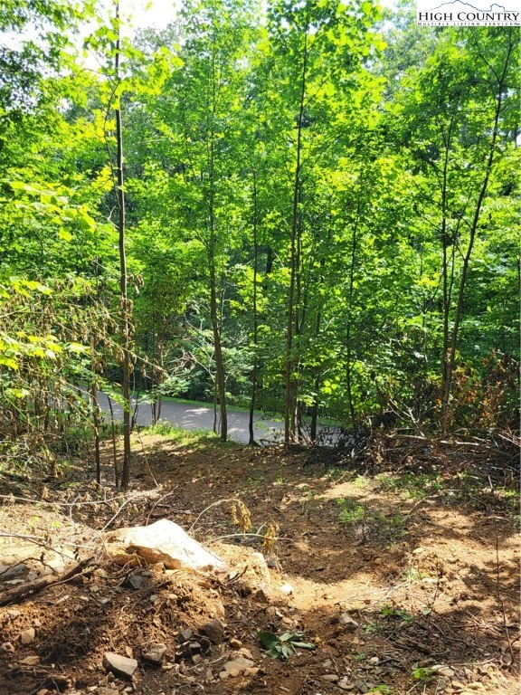 Image number 3 for the current listing