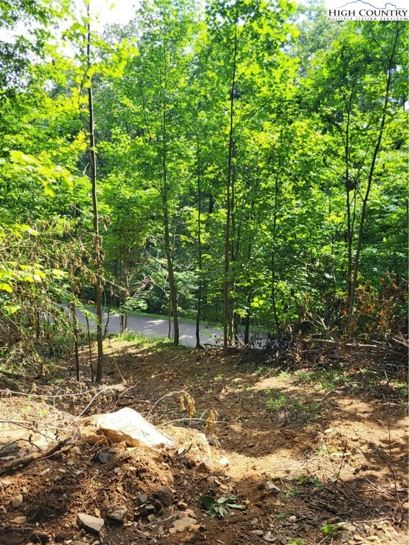Image number 5 for the current listing