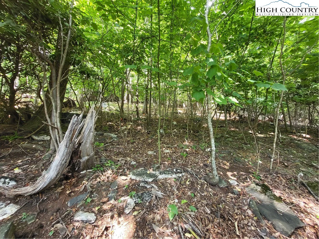 Image number 7 for the current listing