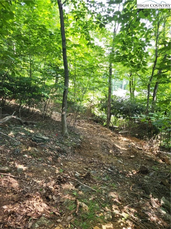 Image number 8 for the current listing