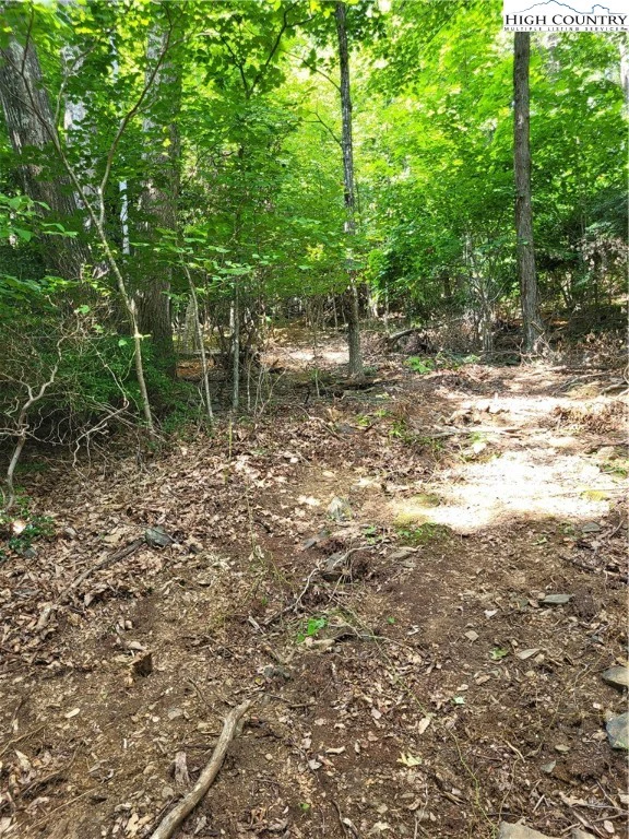Image number 9 for the current listing