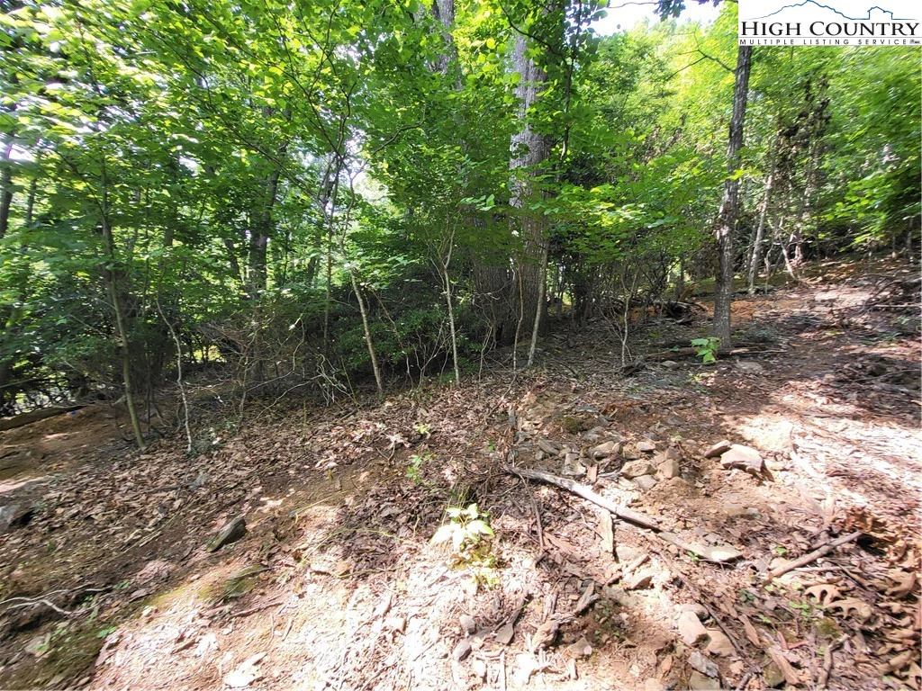 Image number 10 for the current listing