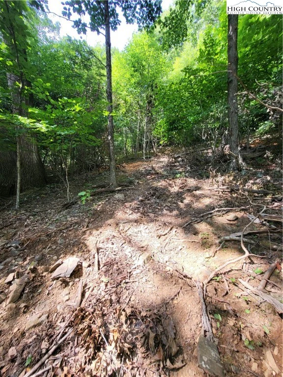 Image number 11 for the current listing