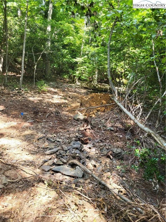 Image number 12 for the current listing
