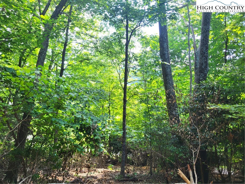 Image number 14 for the current listing