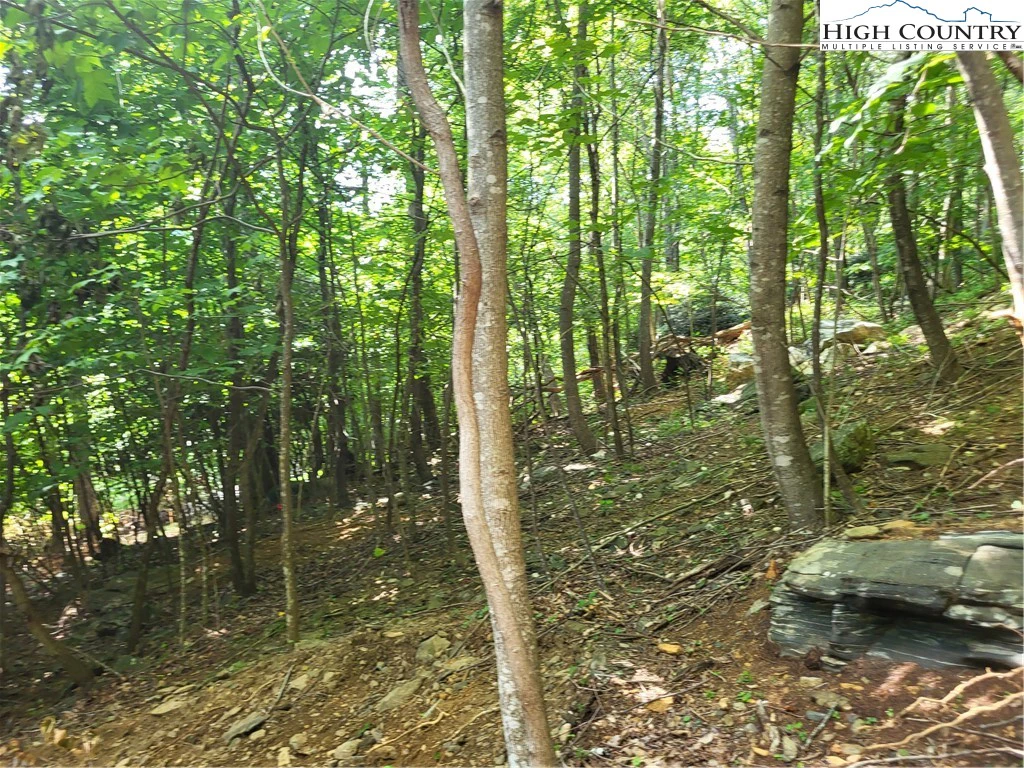Image number 16 for the current listing