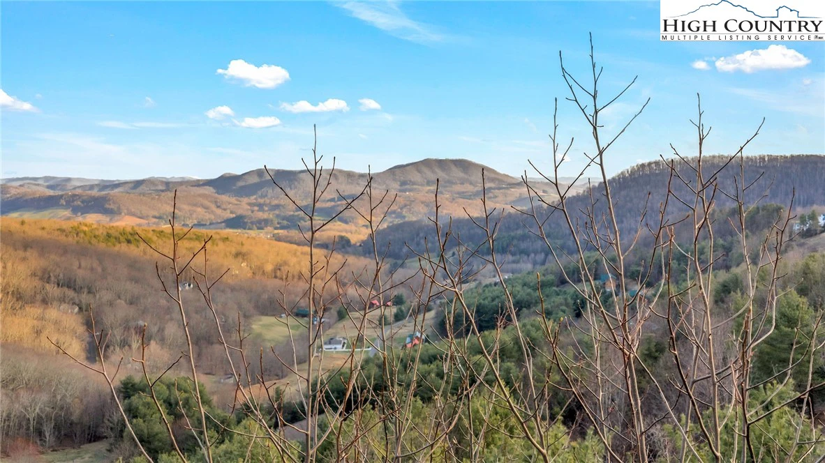 Image number 8 for the current listing