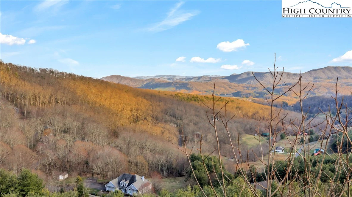 Image number 7 for the current listing