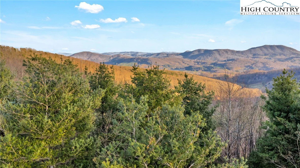 Image number 1 for the current listing