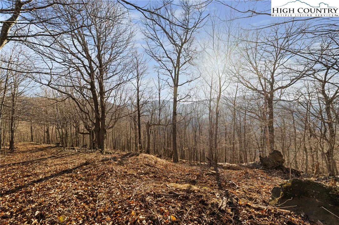 Image number 16 for the current listing