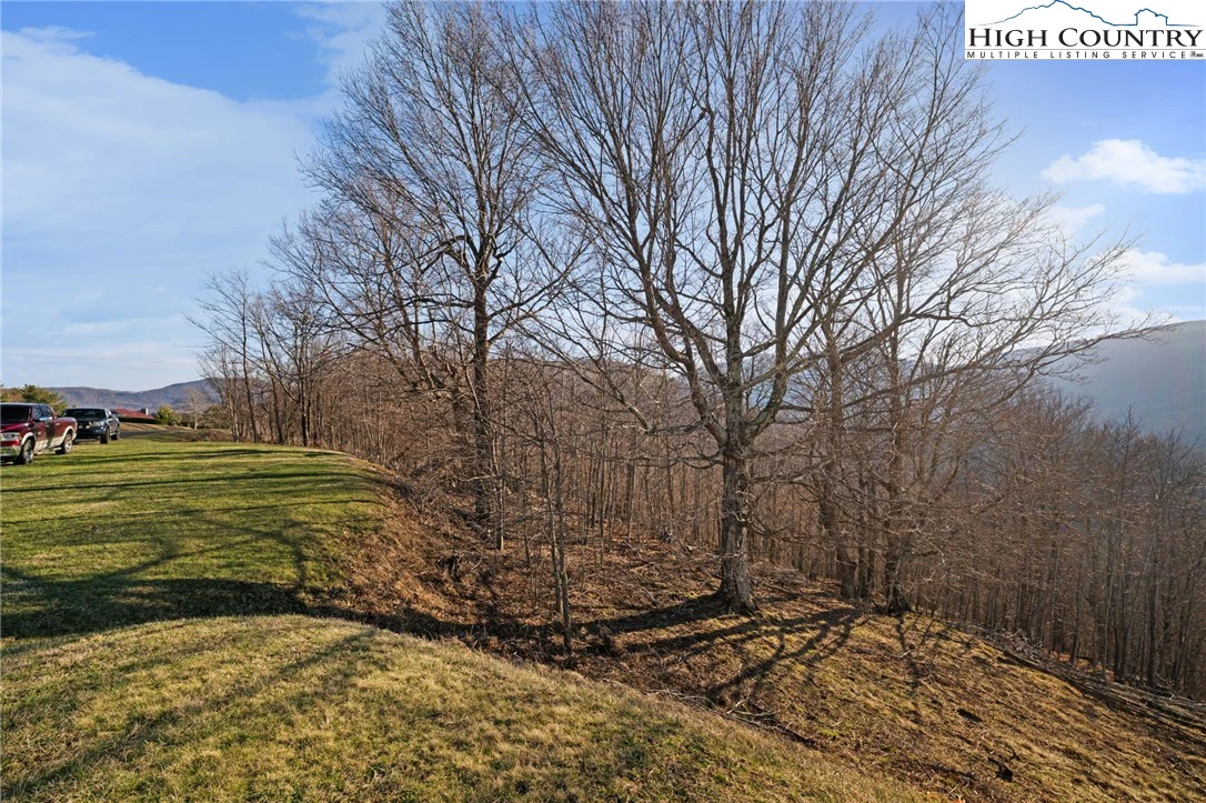 Image number 14 for the current listing
