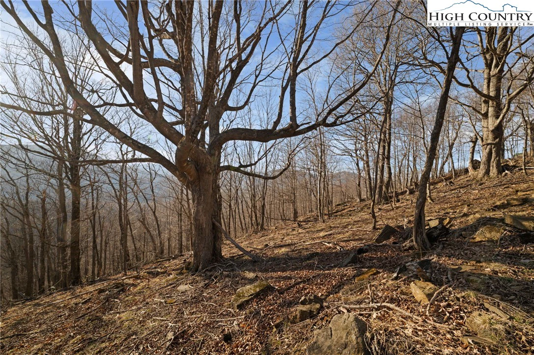 Image number 2 for the current listing