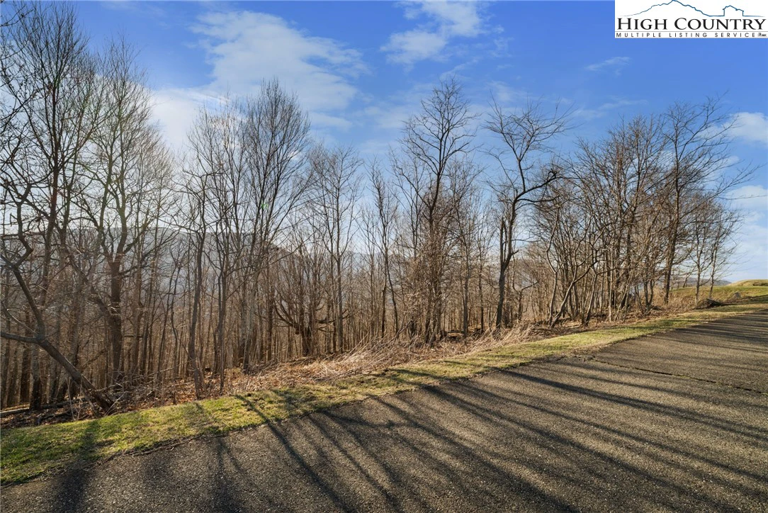 Image number 11 for the current listing