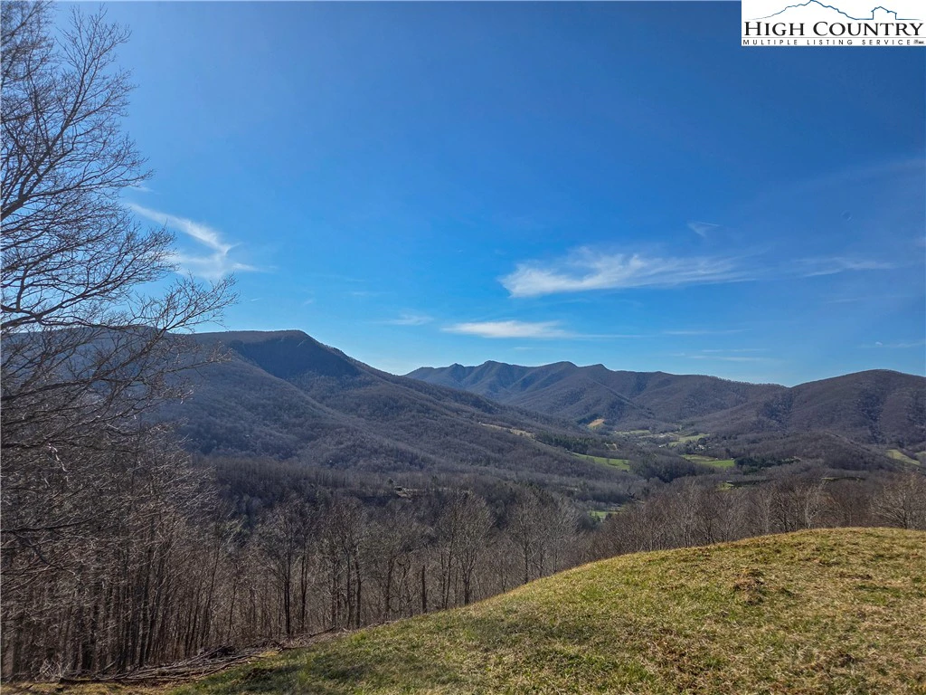 Image number 1 for the current listing