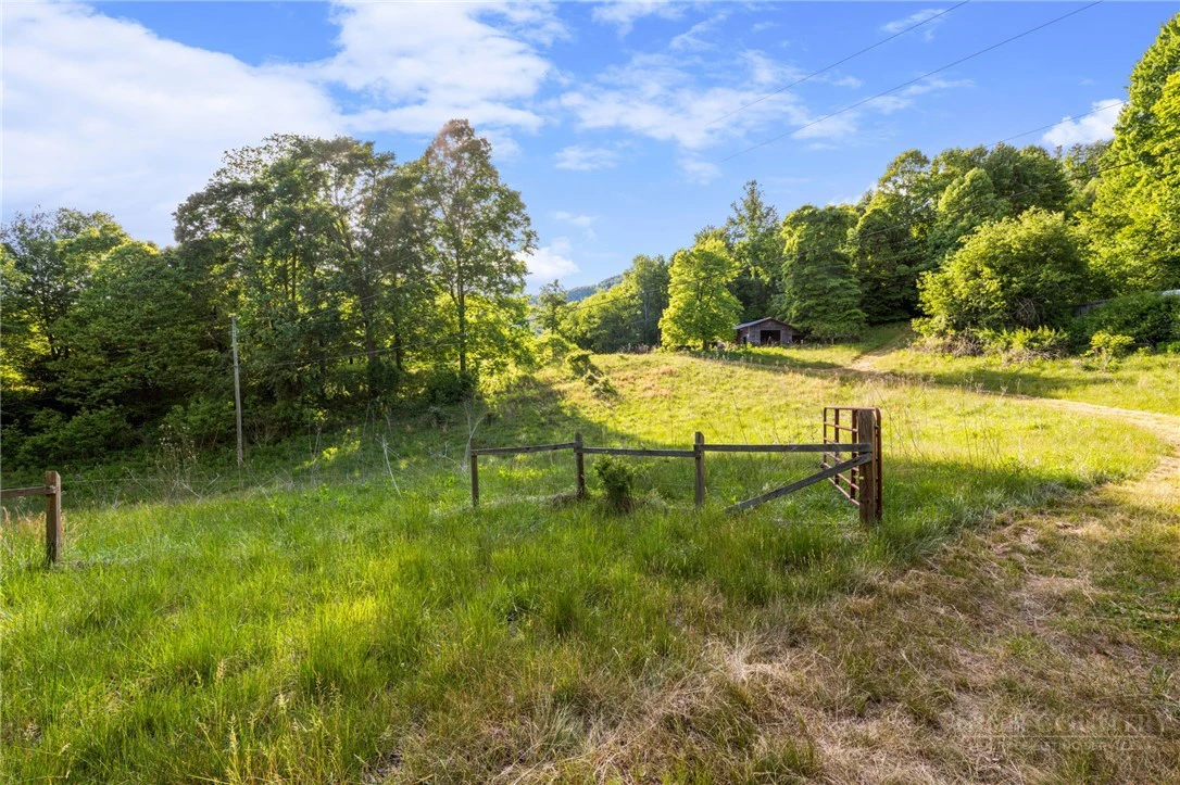 Image number 1 for the current listing