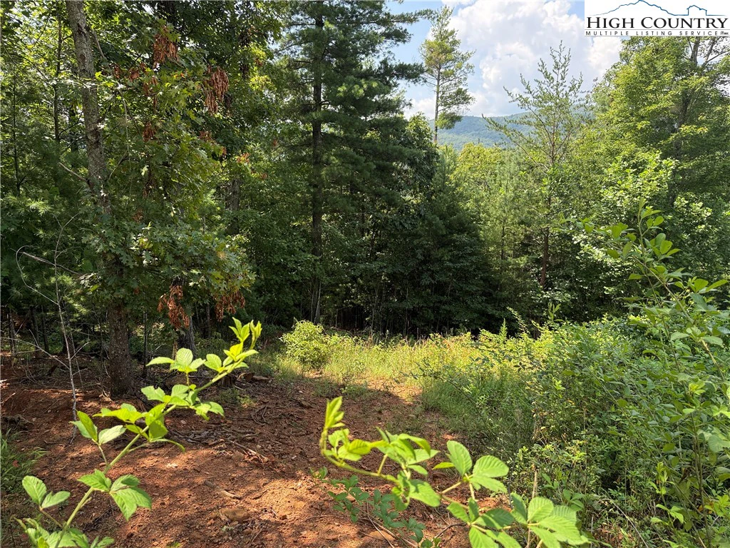 Image number 11 for the current listing