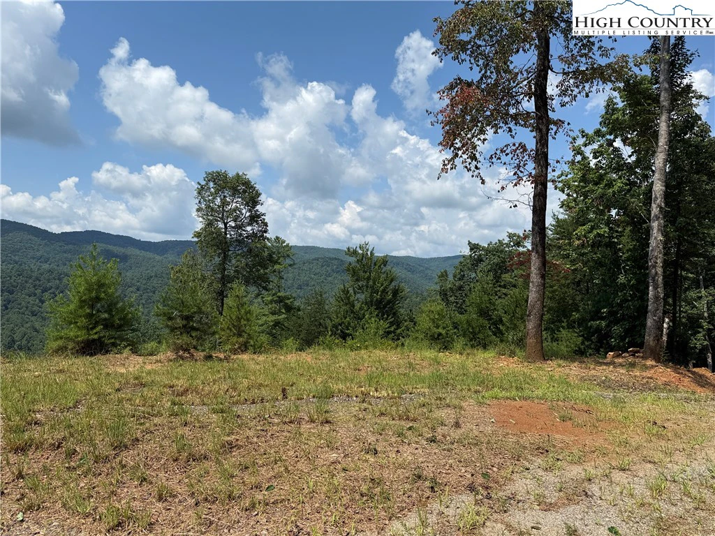 Image number 10 for the current listing
