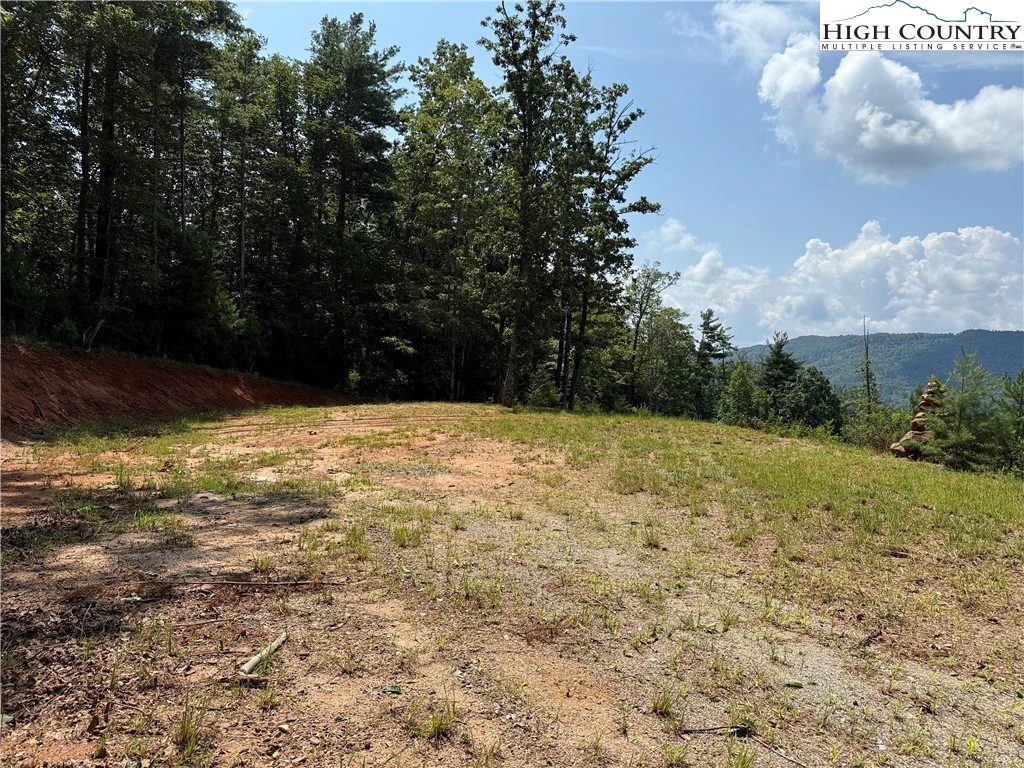 Image number 3 for the current listing