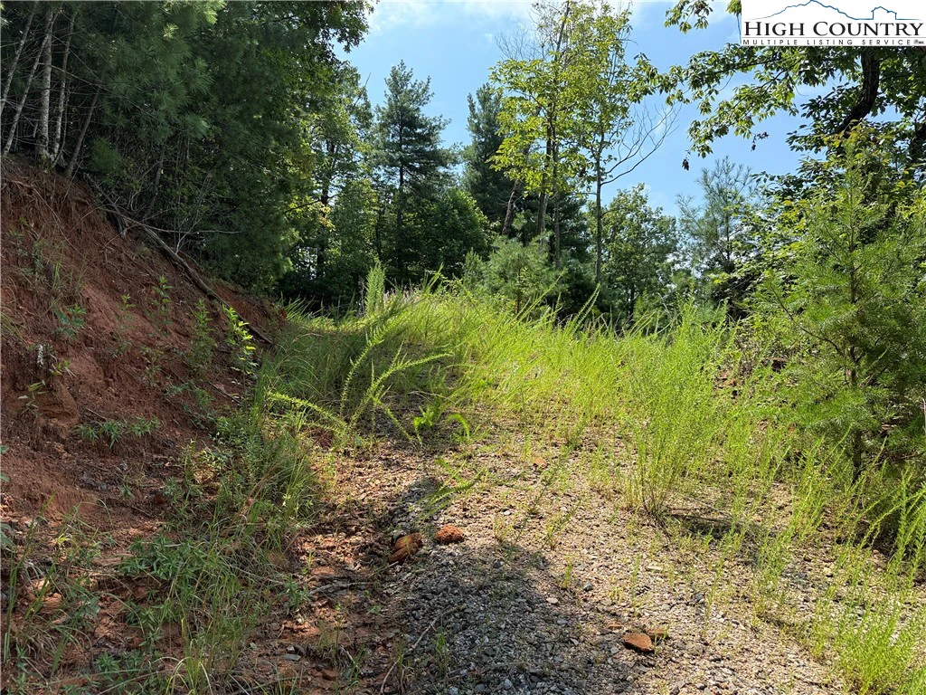 Image number 7 for the current listing