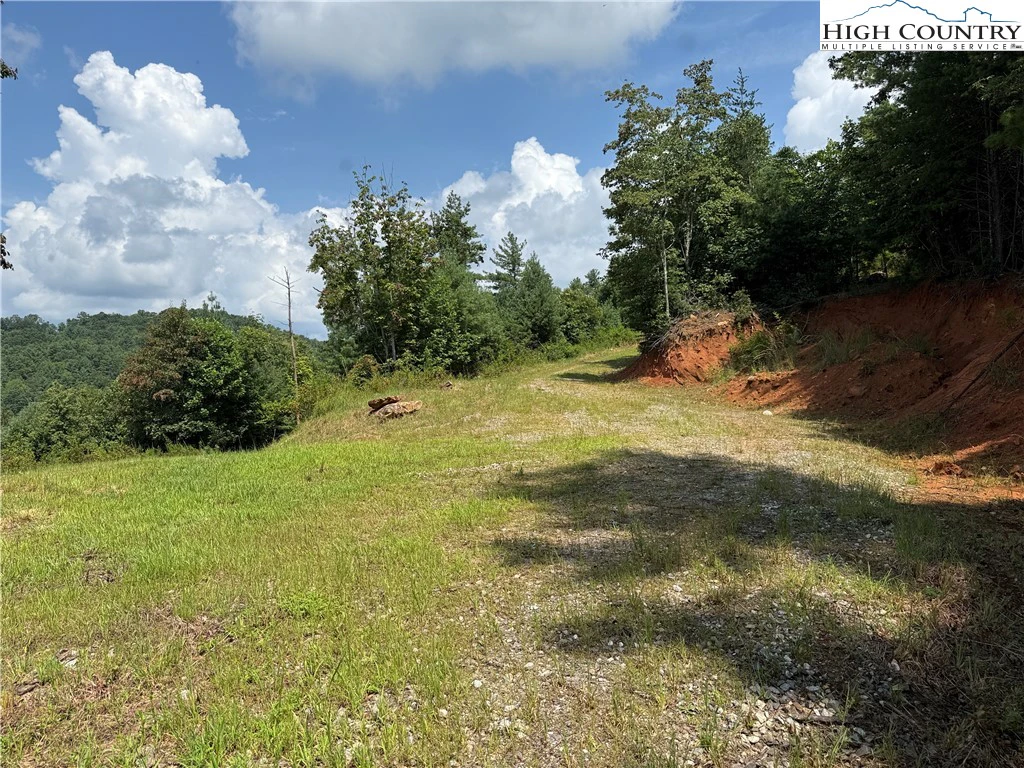 Image number 2 for the current listing