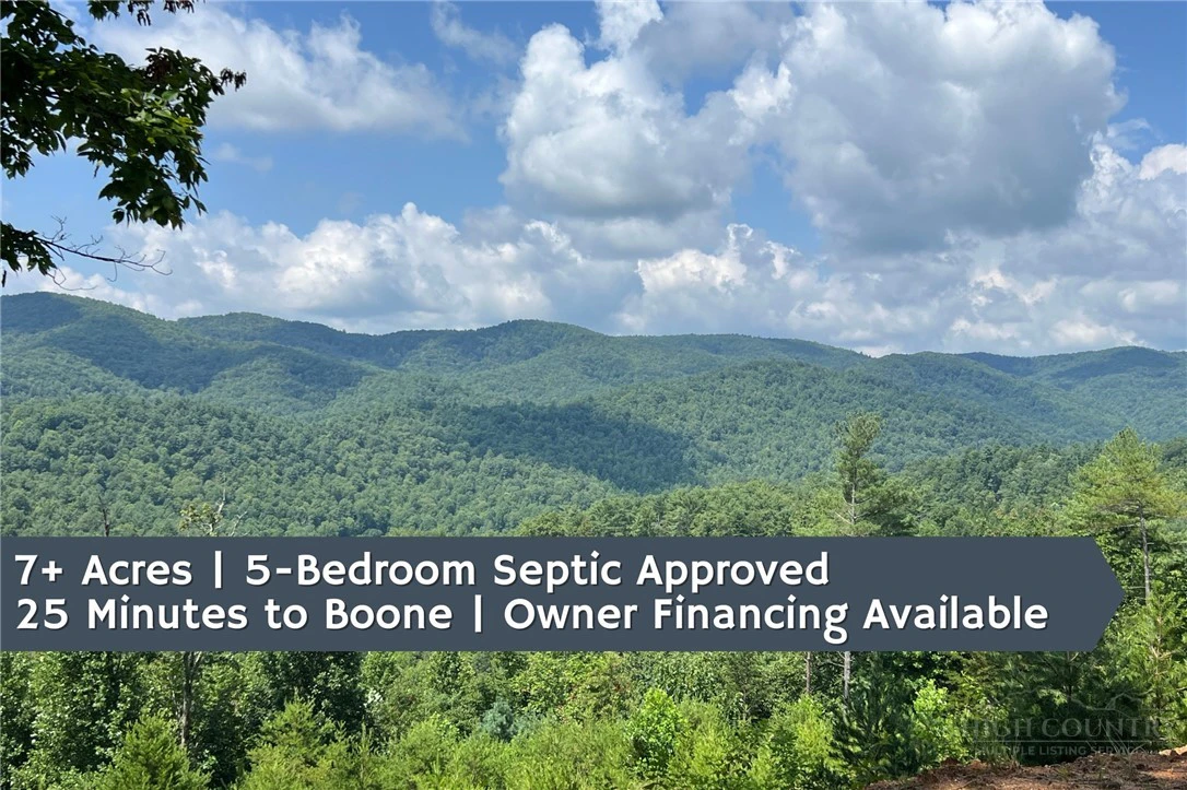 Image number 1 for the current listing