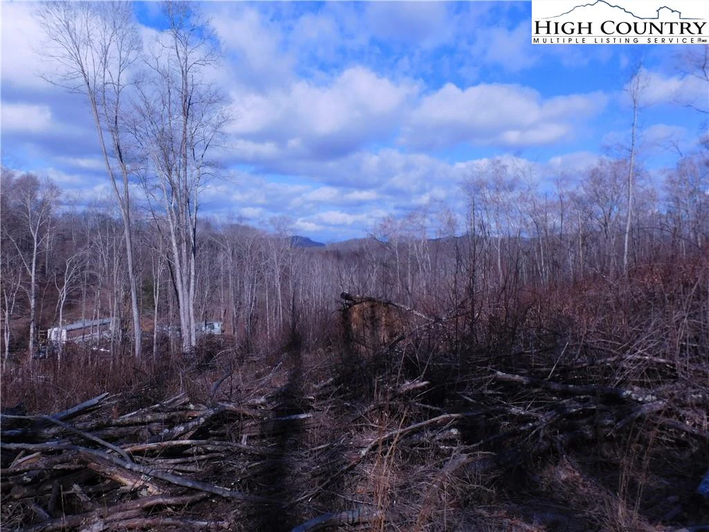 Image number 1 for the current listing