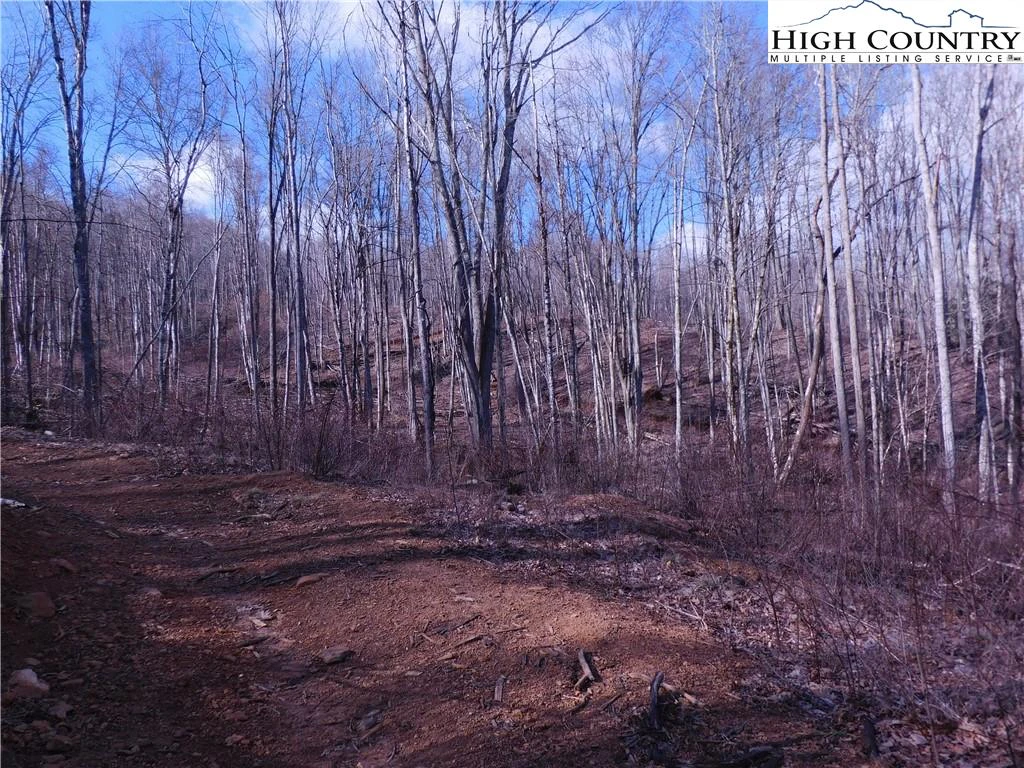 Image number 3 for the current listing