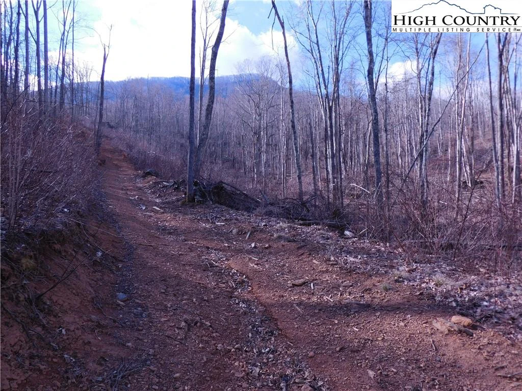 Image number 4 for the current listing