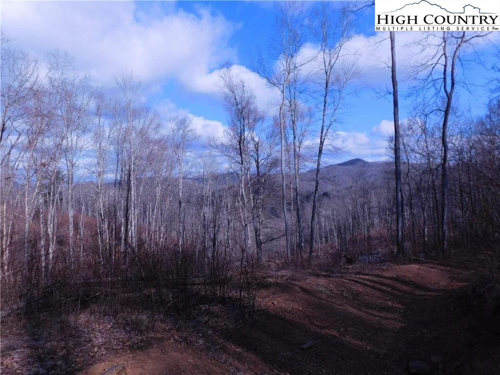 Image number 5 for the current listing