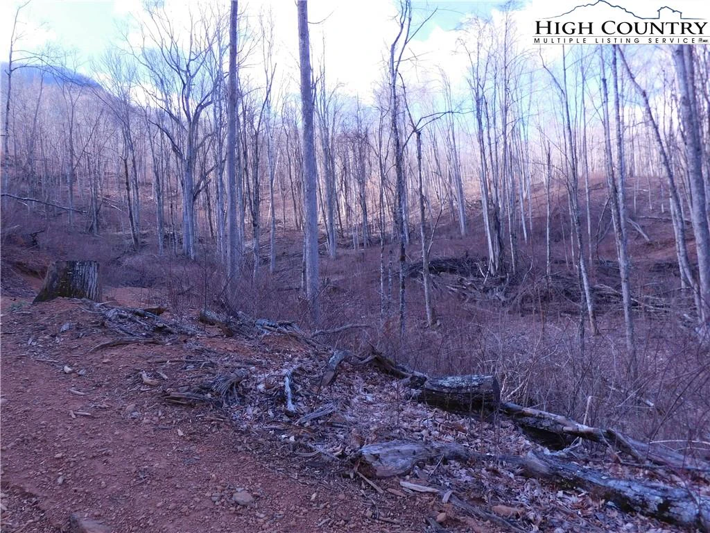 Image number 6 for the current listing