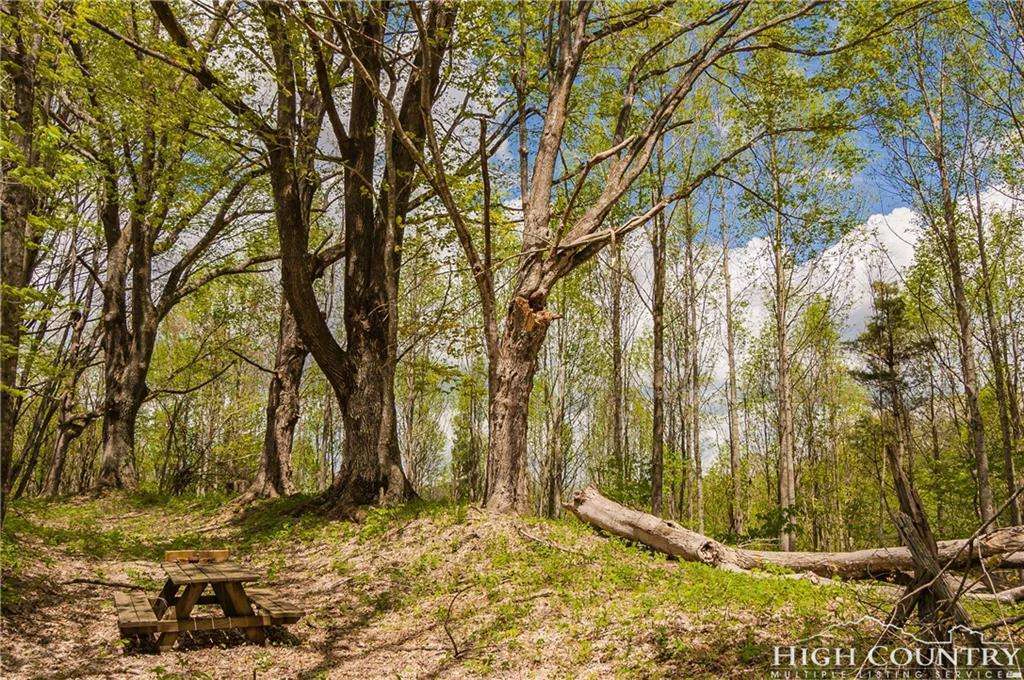 Image number 1 for the current listing