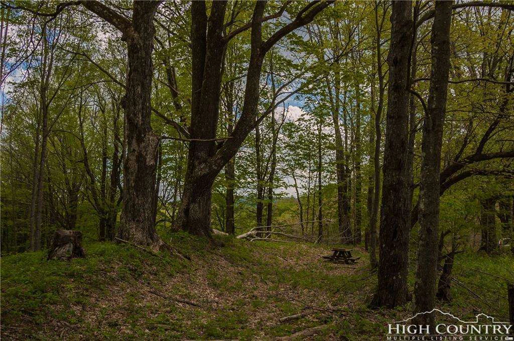 Image number 7 for the current listing
