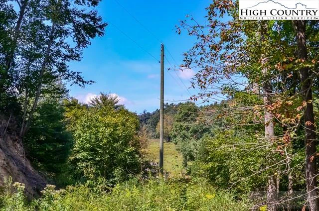 Image number 12 for the current listing