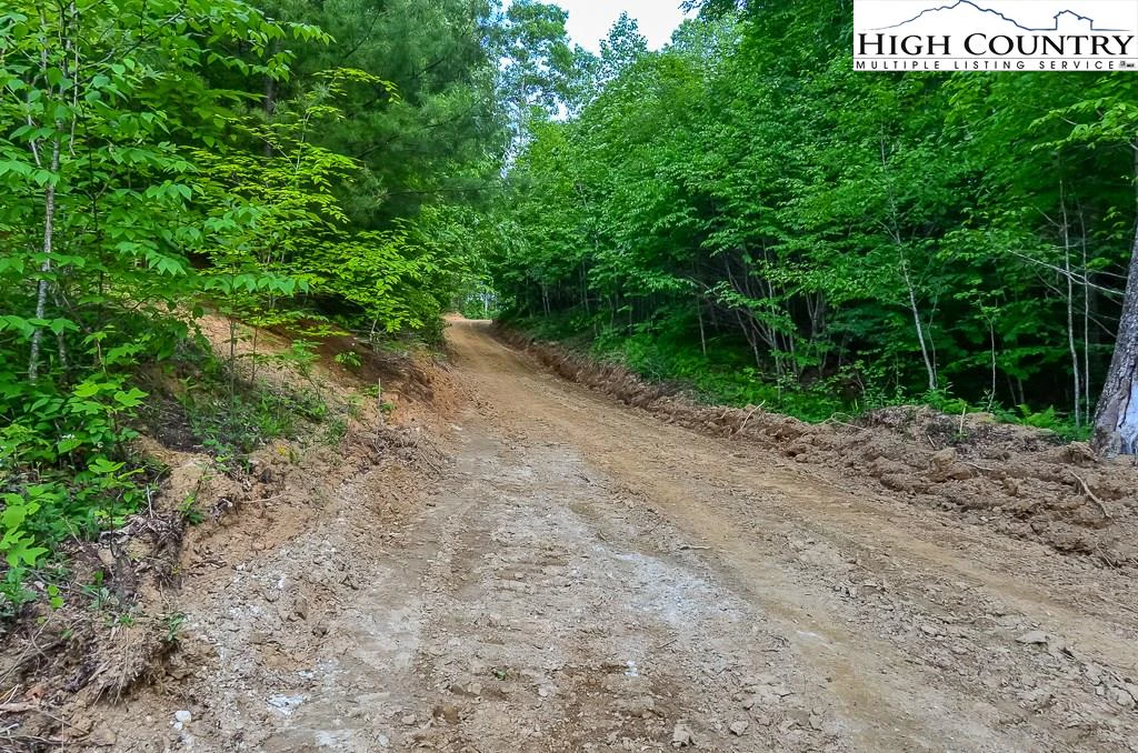 Image number 5 for the current listing