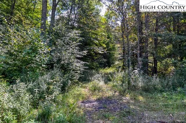 Image number 9 for the current listing
