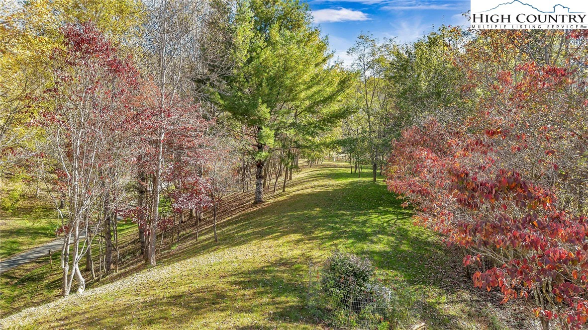 Image number 1 for the current listing
