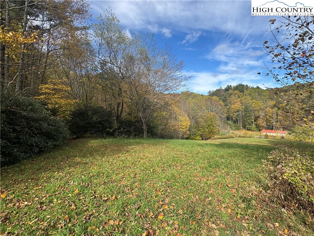 Image number 1 for the current listing