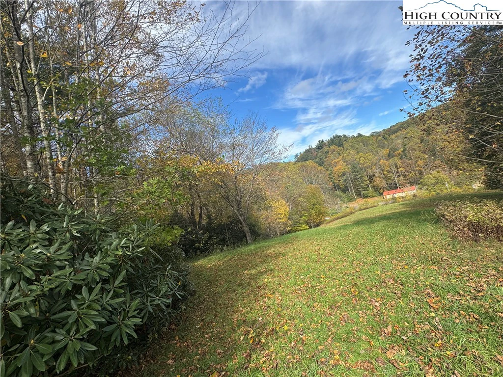 Image number 3 for the current listing