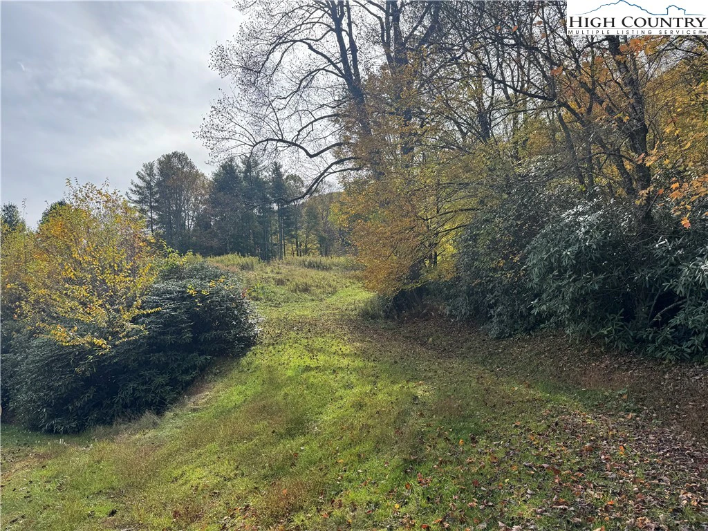 Image number 4 for the current listing