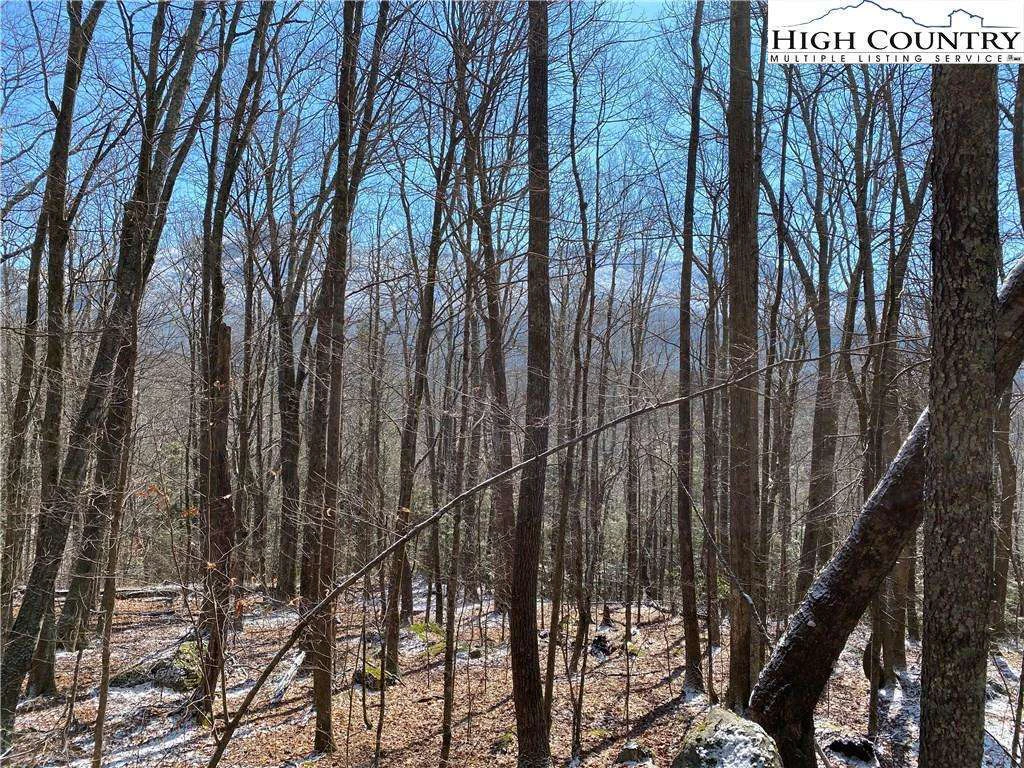 Image number 1 for the current listing